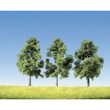Arbres fruitiers 110 mm