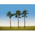 Pins sylvestres 160 mm
