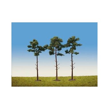 Pins sylvestres 160 mm