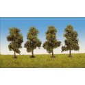 Arbres fruitiers