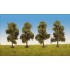 Arbres fruitiers