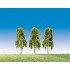 Bouleaux pleureurs 90 mm