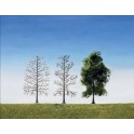 Arbres à floquer