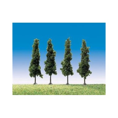 Peupliers noirs 120 mm
