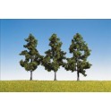 Arbres fruitiers 110 mm