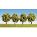 Arbres feuillus 60 mm