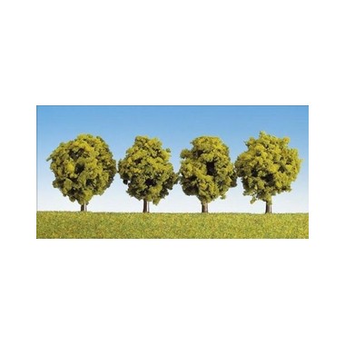 Arbres feuillus 60 mm