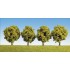 Arbres feuillus 60 mm