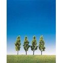 Bouleaux, 90 mm