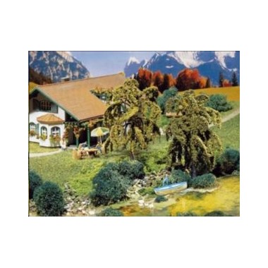 Saules pleureurs 100 mm