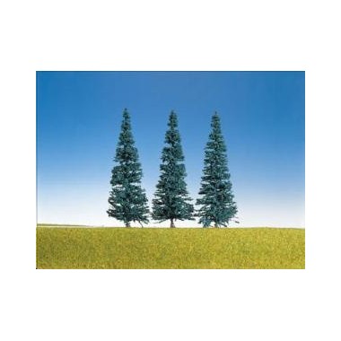 Sapins bleus 50 à 70 mm