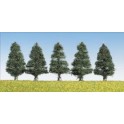 Sapins 50 mm