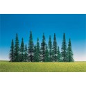 Sapins assortis