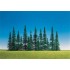 Sapins assortis
