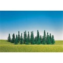 Sapins assortis