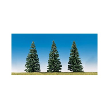 Sapins nordiques, 150mm