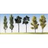 Arbres assortis 60 mm