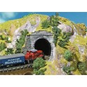 Entrées de tunnel