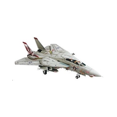 Miniature Grumman F14A Tomcat, Epoque moderne