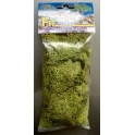 Lichens vert clair 40 grs