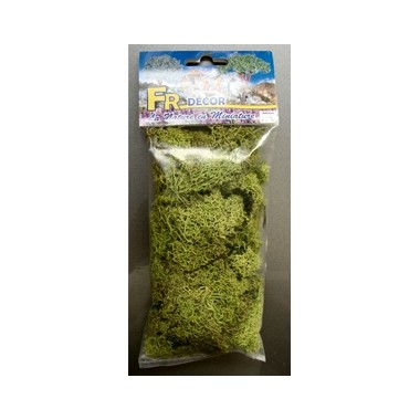 Lichens vert clair 40 grs