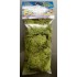Lichens vert clair 40 grs