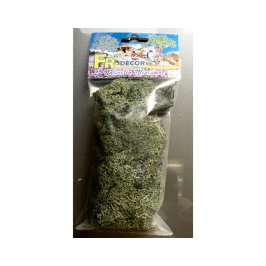 Lichens vert foncé 40 grs