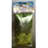 Lichens 3 coloris de verts 40 grs