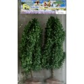 Peupliers 120 mm