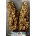 Peupliers automne 170 mm