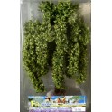Saule pleureur 140 mm