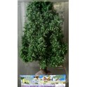 Hetre 140 mm