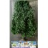 Hetre 140 mm