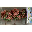 Arbres fruitiers 60 mm