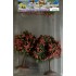 Arbres fruitiers 70 mm