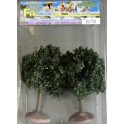 Acacias boules 70 mm