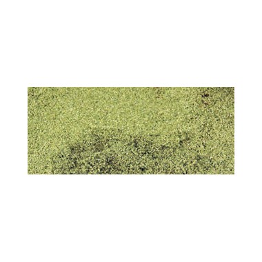 Feuillage vert clair, 28 x 14 cm