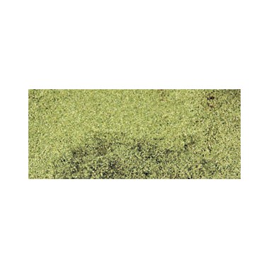 Feuillage vert clair, 28 x 14 cm