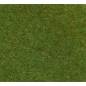 Tapis herbe couleur vert foncé, 1000 x 750 mm