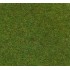 Tapis herbe couleur vert foncé, 1000 x 750 mm