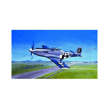 Maquette P-51D Mustang, 2eme GM