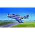 Maquette P-51D Mustang, 2eme GM