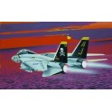 Maquette F-14 A Tomcat, Epoque moderne