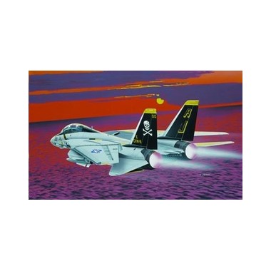 Maquette F-14 A Tomcat, Epoque moderne