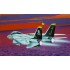 Maquette F-14 A Tomcat, Epoque moderne