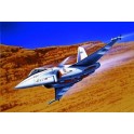 Maquette Dassault Rafale A, Epoque moderne