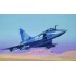 Maquette Dassault Mirage 2000 C, Epoque moderne
