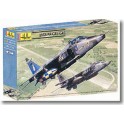 Maquette Jaguar GR1/GR3, Epoque moderne 