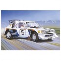 Maquette Peugeot 205 T16 Evolution 2
