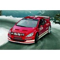 Maquette Peugeot 307 WRC 2004